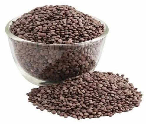 Black Sabut Masoor Dal, For High In Protein, Packaging Type : Plastic Packets