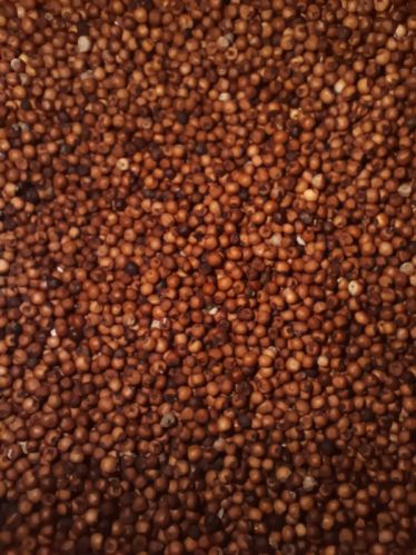 Ragi Seeds, For Food Processing, Packaging Type : Plastic Bag