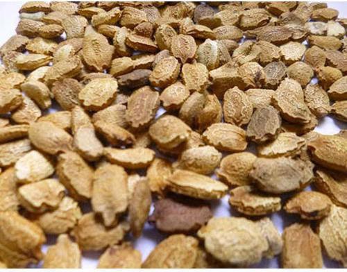 Brown Raw Natural Bitter Gourd Seeds, For Human Consumption, Animal Feed, Grade Standard : Food Grade