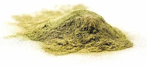 Brahmi Leaf Powder, Purity : 100%