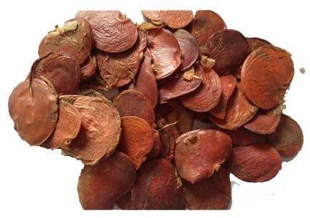 Dry Palash Seeds, Packaging Type : Packet