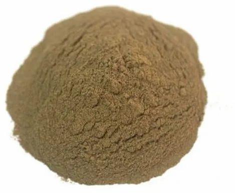 Safed Nishottar Powder, Packaging Size : 25 Kg