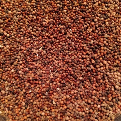 Red Seeds Finger Millet, For Cooking, Packaging Type : Plastic Bags