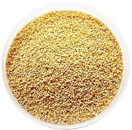 Yellow Organic Foxtail Millet, For Cooking, Cattle Feed, Feature : Natural Taste, Gluten Free