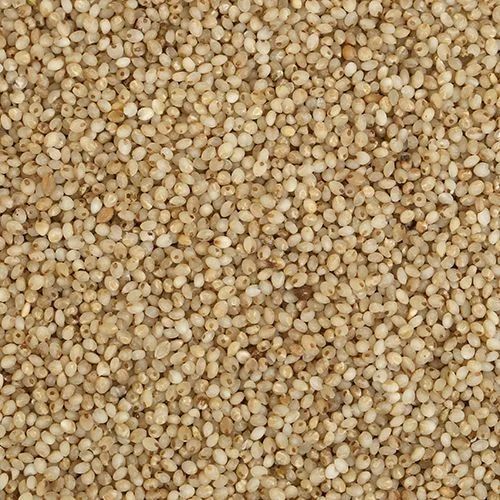 Yellow Organic Little Millet, For Cooking, Cattle Feed, Variety : Hulled