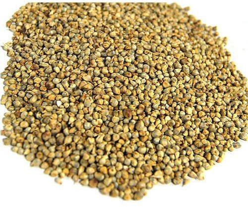 Organic Pearl Millet, For Cooking, Cattle Feed, Style : Dried