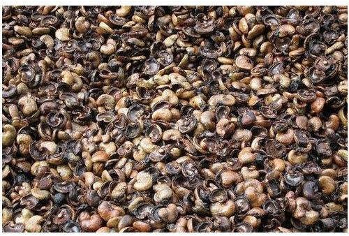 Natural Cashew Nut Shell, Packaging Type : PP Bag