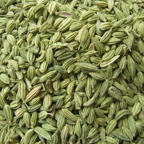 Raw Organic Fennel Seeds, Certification : FSSAI Certified