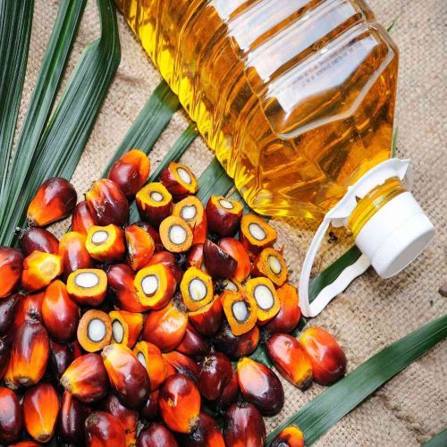 Palm oil for Cooking
