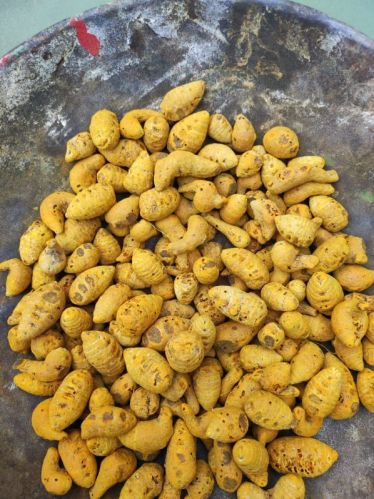 Polished Blended Natural Turmeric Bulb, For Cooking, Spices, Food Medicine, Cosmetics, Certification : FSSAI Certified