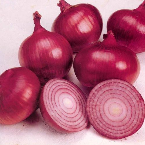 Organic Fresh Red Onion, For Cooking, Style : Natural