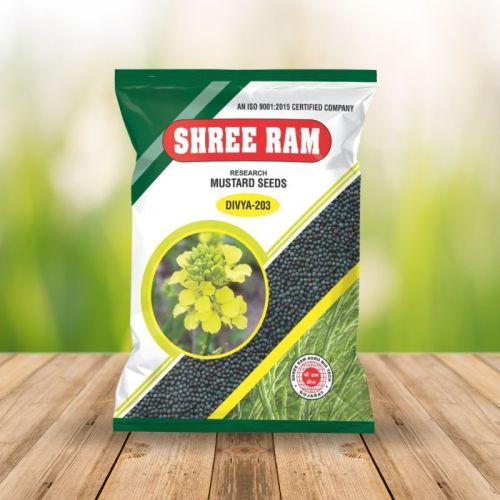 Shree RAM Organic Divya 203 Mustard Seed, Packaging Type : Plastic Packets