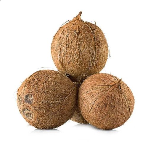 Brown Hard Organic Husked Coconut