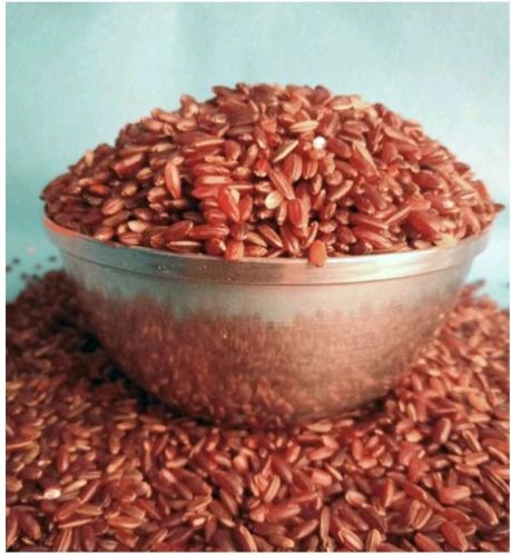 Solid Hard Red Rice, For Cooking, Packaging Type : Plastic Bags