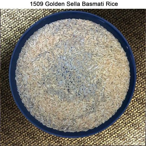 1509 Golden Sella Basmati Rice, For Cooking, Food, Human Consumption, Variety : Long Grain