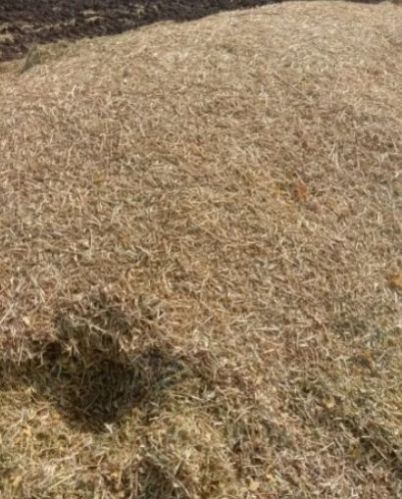 Loose Wheat Husk, For Cattle Feed