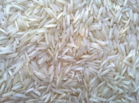 Natural Ranbir Basmati Rice, For Cooking, Food, Human Consumption, Variety : Short Grain, Medium Grain