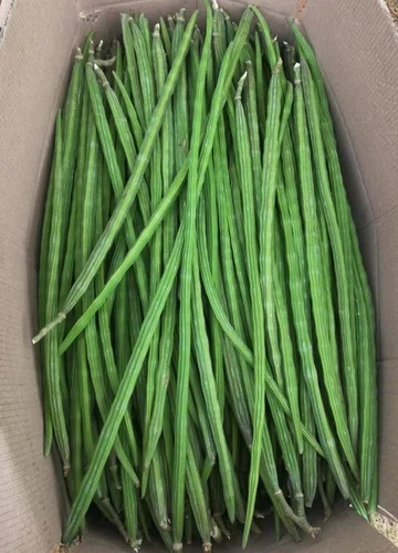 Drumstick Vegetable, Packaging Type : Loose