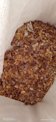 Black Crunchy Kellogg Chocos, For Breakfast Use, Taste : Sweet