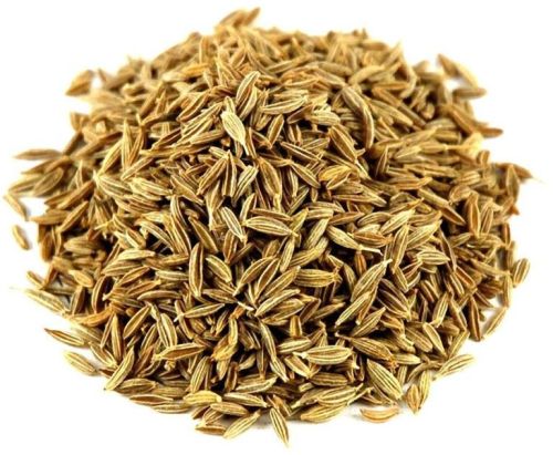 Raw Natural Cumin Seeds, Grade Standard : Food Grade
