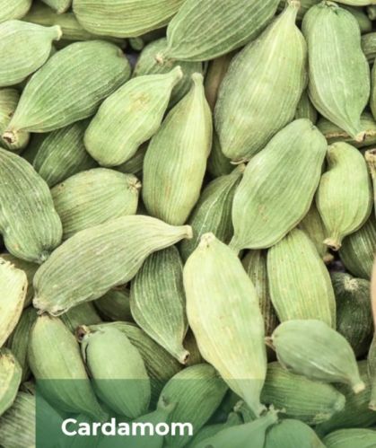 Green cardamom, Material : Cardamom Pods