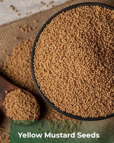 Yellow Mustard Seeds, Moisture : 5%, Packaging Type : Plastic Packet