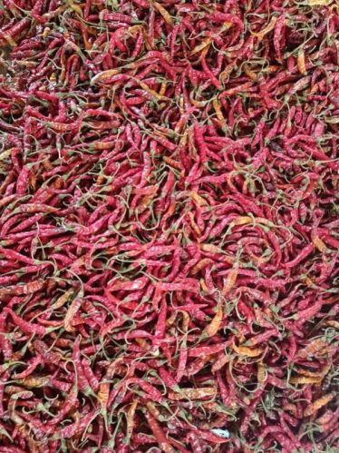 Dark-red Organic Red Chilli, Style : Dried, Fresh