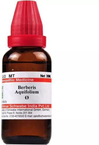 Dr Willmar Schwabe India Berberis Aquifolium Q Mother Tincture