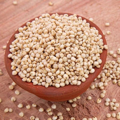 White Natural Jawar Seeds, For Cooking, Cattle Feed, Packaging Type : Bag