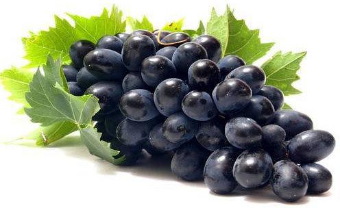 Fresh Black Grapes, Packaging Type : Crate