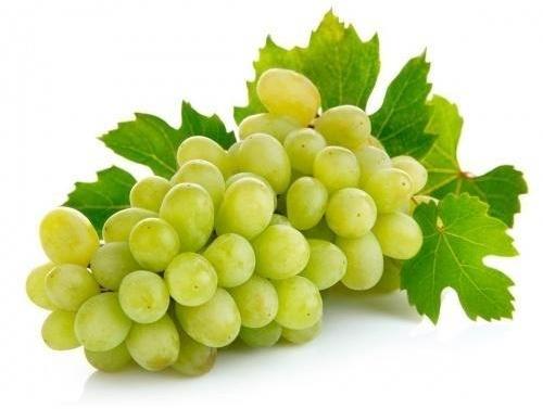 Natural Fresh Green Grapes, Shelf Life : 5-7 Days