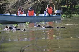 7 DAYS MASAI MARA-LAKE NAKURU-LAKE NAIVASHA-AMBOSELI SAFARI