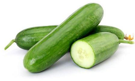 Light Green Fresh European Cucumber, For Cooking, Packaging Type : Gunny Bag