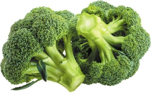 Fresh Green Broccoli, For Cooking, Feature : Healthy To Eat