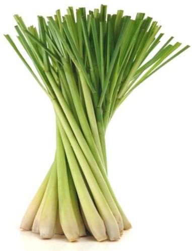 Green Organic Fresh Lemon Grass, For Food Industry, Packaging Type : Plastic Packet