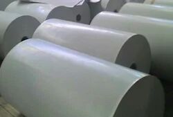 Polypropylene PP Manure Belt