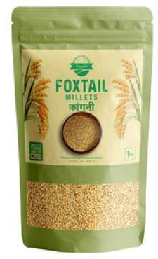 Yellow Organic Foxtail Millets, For High In Protein, Packaging Type : Plastic Packet