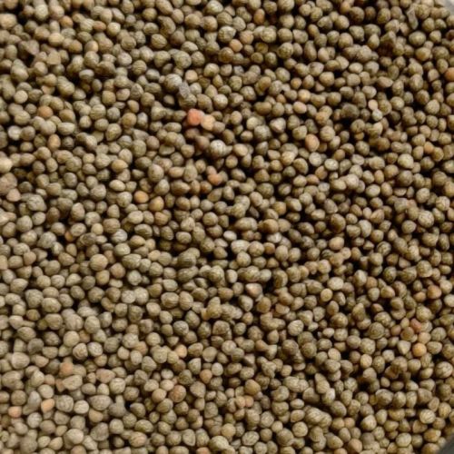 Brown Natural Perilla Seeds, For Cooking, Certification : FSSAI