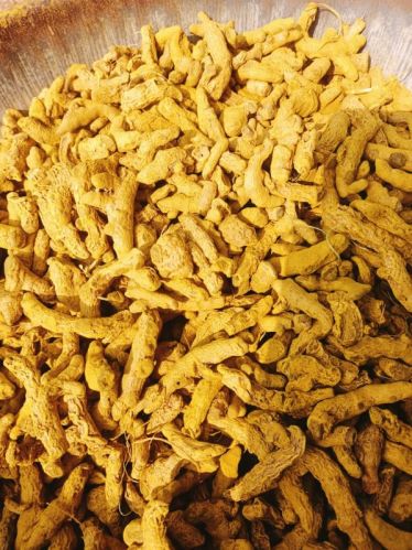 Natural Yellow Turmeric Finger, For Cooking, Spices, Food Medicine, Cosmetics, Packaging Type : Gunny Bags