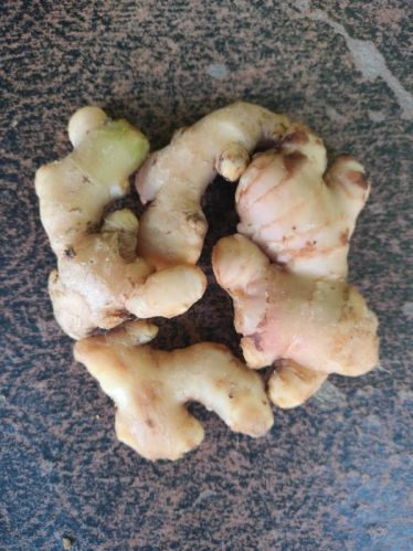 Light Brown Fresh Ginger, For Cooking, Packaging Type : Jute Bags