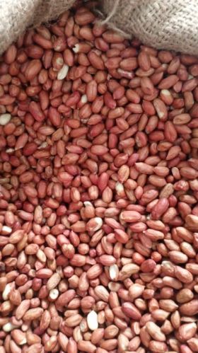 Bold Peanuts, Feature : Healthy, High Nutrition