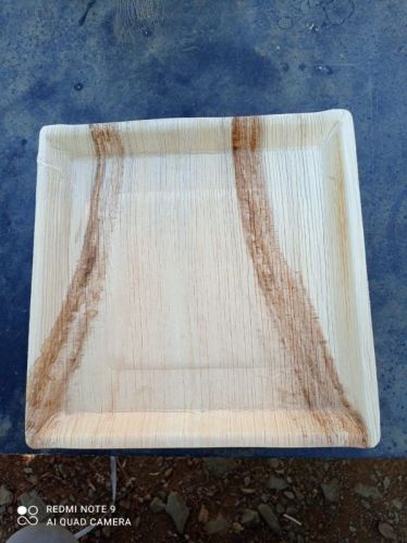 Areca Leaf Plate 10 Square