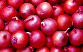 Export Quality Onion, For Human Consumption, Packaging Size : 50kg