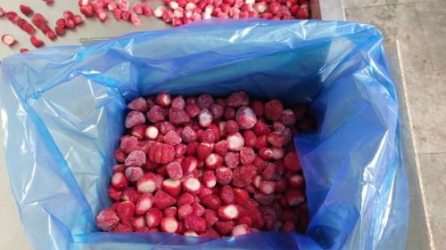 Red Frozen Scooped Strawberry, Packaging Type : Plastic Packet