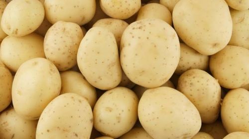 Natural Potato, Packaging Size : 5kg