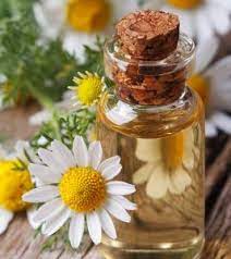 Organic Chamomile Oil - Morocco, Certification : CE Certified ISO 9001:2008, GMP, Halal, FSSAI