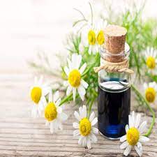 Flowers Chamomile Roman Essential Oil, For Used Skin Care, Relieving Muscular Pains