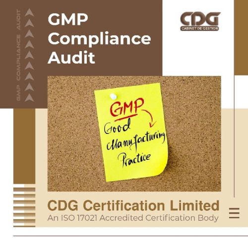 WHO GMP Audit In Bangalore