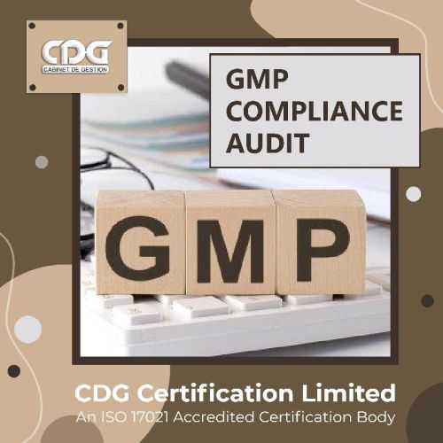 WHO GMP Audit In Ahmedabad