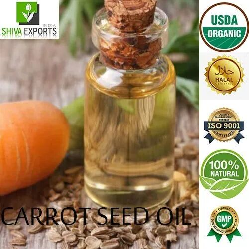 Carrot Seed Oil